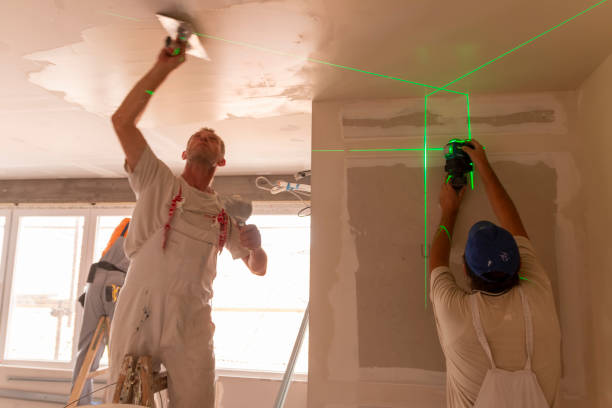 Collinsburg, PA Mold Removal Company